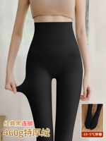 460G-классическая черная нога (вечнозеленый напряжение-10-5 ° C)