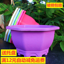 PP resin plastic star anise flowerpot Lotus pot Green Lotus pot plastic flowerpot large plastic flowerpot with tray