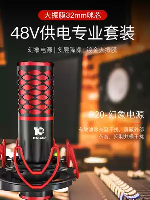 Ten lights P20 anchor special sound card set Live broadcast equipment full set of desktop computer computer condenser microphone microphone Net celebrity singing trembling professional recording Mobile phone tuning does not run out of tune artifact