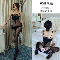 23 (5048)