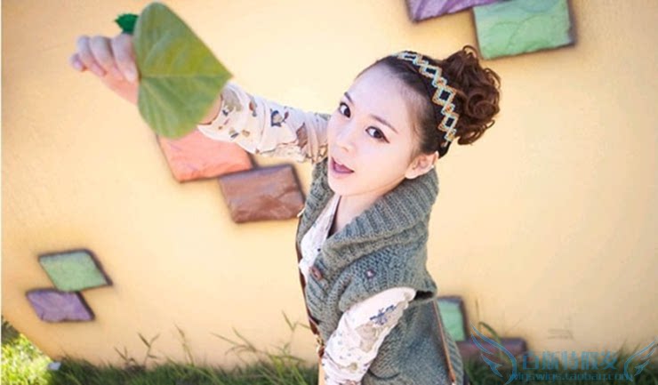 Extension cheveux - Chignon - Ref 247973 Image 25