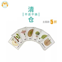Mengxue wuyan studio montessori