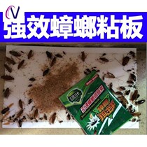 Green Leafy Cockroach Plate With Luring Cockroach Info Vegetarian Cockroach Powerful Cockroach Stickup Box Dress