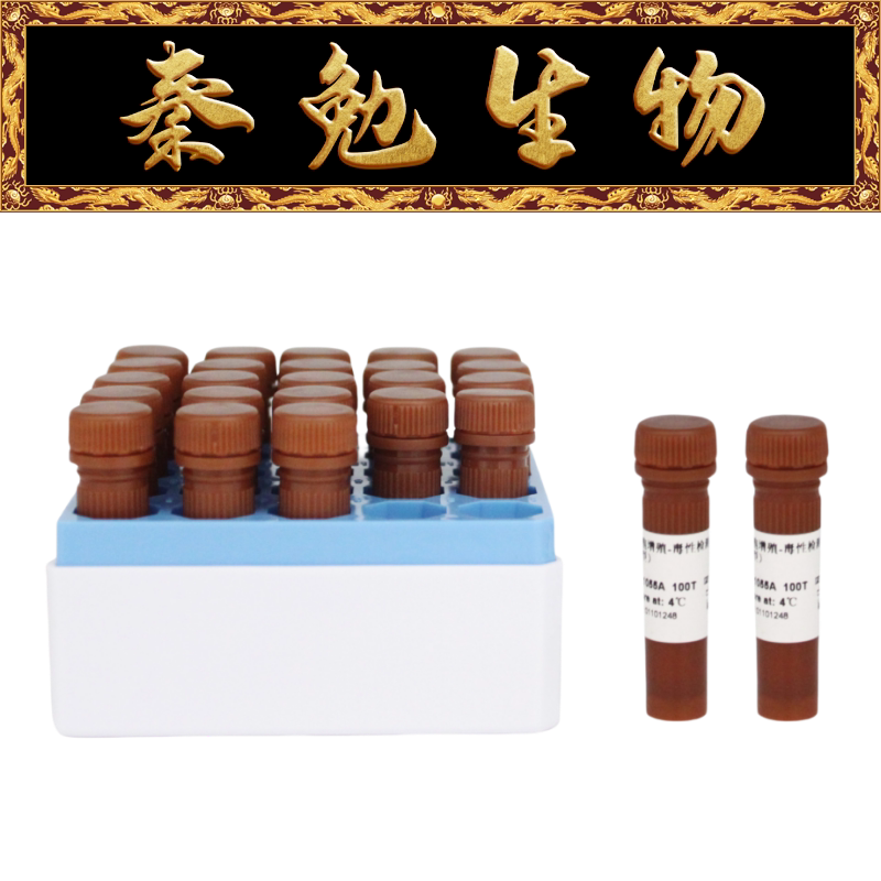 Biosharp白鲨 BL1055D 增强型CCK-8试剂盒