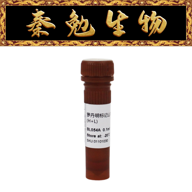 Biosharp白鲨 BL054A 罗丹明标记山羊抗小鼠IgG（H+L）