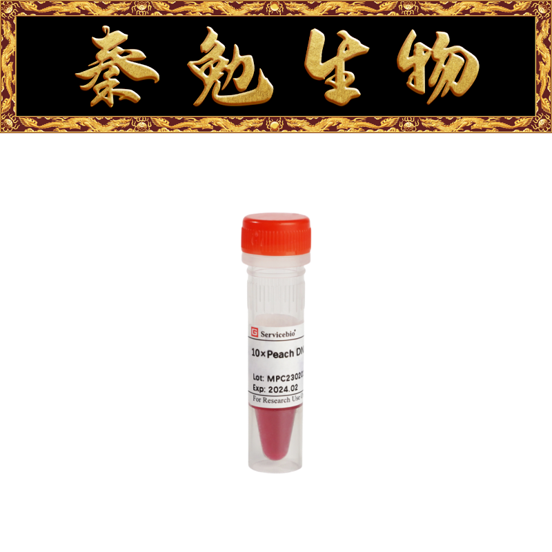 赛维尔 货号：G3375-1ML 10&times;DNA凝胶加样缓冲液（桃红色）