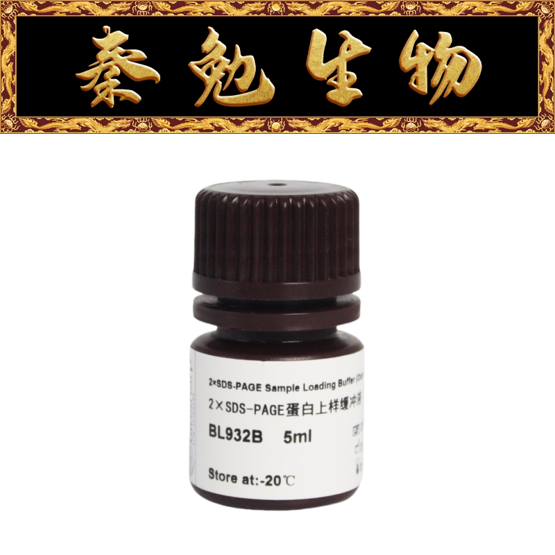 Biosharp白鲨 BL932B 2&times;SDS-PAGE蛋白上样缓冲液（无气味）