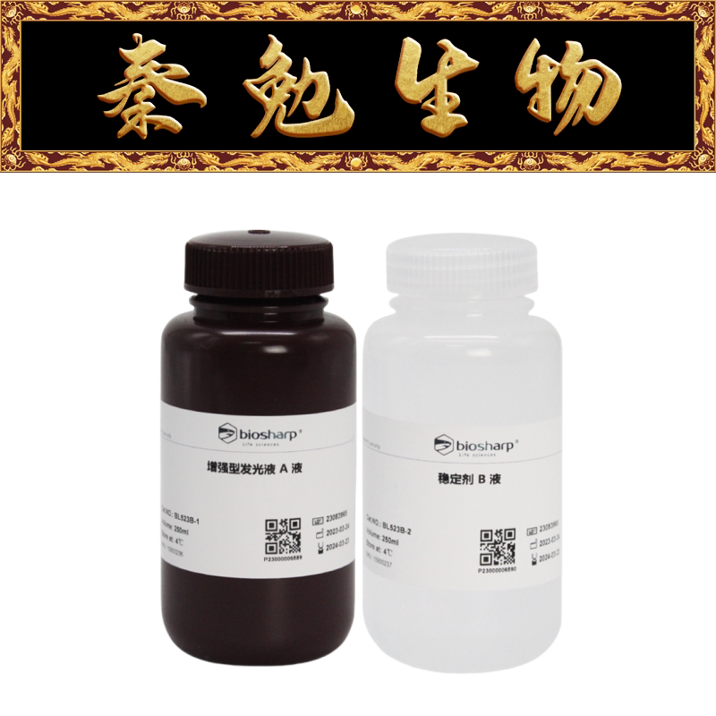 Biosharp白鲨 BL523B 超敏ECL化学发光底物
