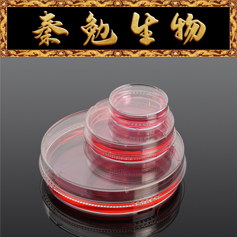 赛维尔 货号：CCD-100 100mm细胞培养皿