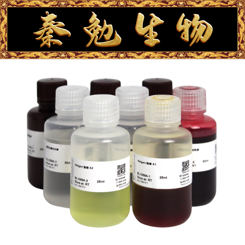 Biosharp白鲨 BL1059A Masson三色染色液