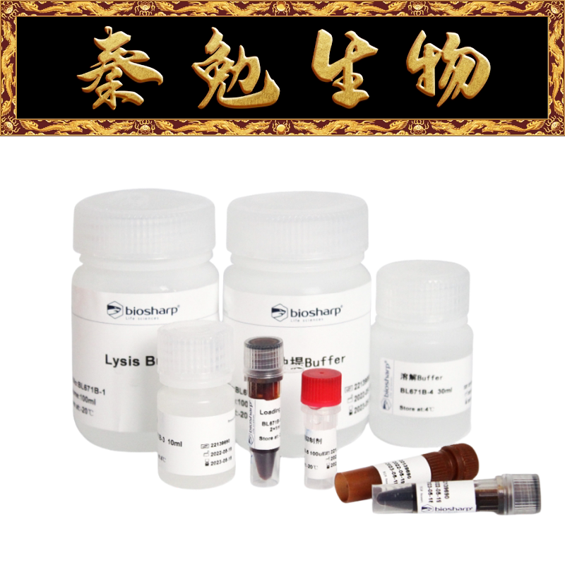 Biosharp白鲨 BL671B 细胞膜蛋白和胞浆蛋白提取试剂盒