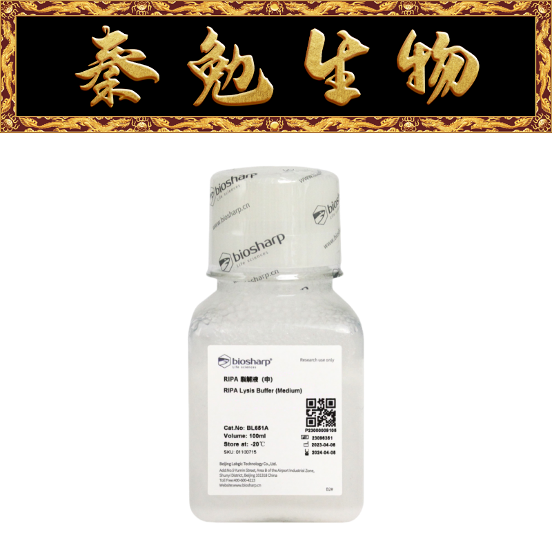 Biosharp白鲨 BL651A RIPA裂解液（中）