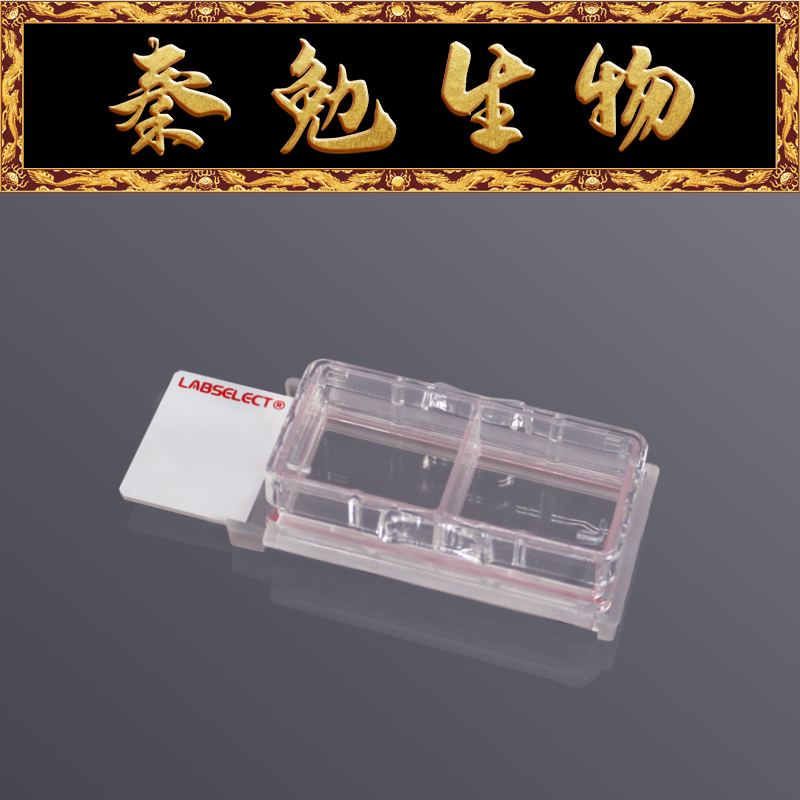 LABSELECT甄选 CS-02-TC 细胞培养腔室载玻片 2孔 TC处理