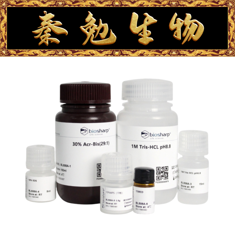 Biosharp白鲨 BL508A SDS-PAGE凝胶配制试剂盒