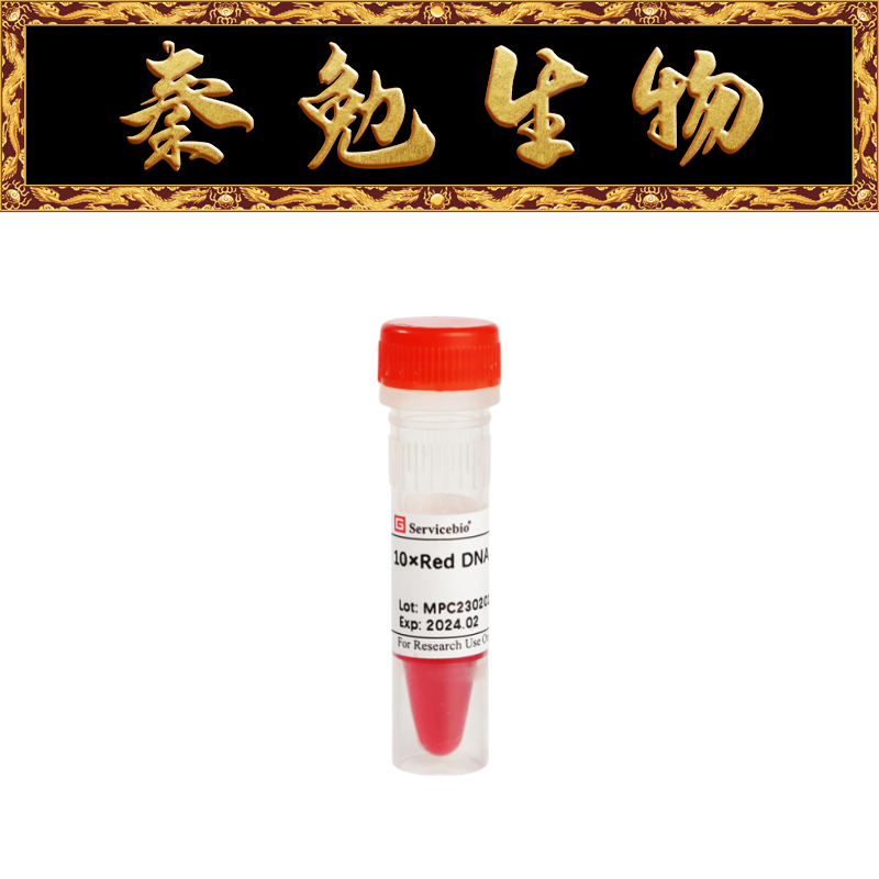 赛维尔 货号：G3376-1ML 10&times;DNA凝胶加样缓冲液(红、橙两种染料)