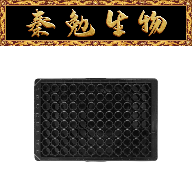 LABSELECT甄选 33113 96孔PP微孔板,黑底黑板,未灭菌,不带盖