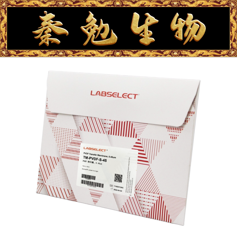 LABSELECT甄选 TM-PVDF-S-45 PVDF转印膜,0.45&mu;m (10cmx15cm)