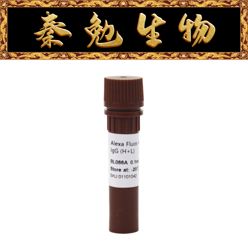 Biosharp白鲨 BL066A Alexa Fluor 488标记的羊抗小鼠IgG HL