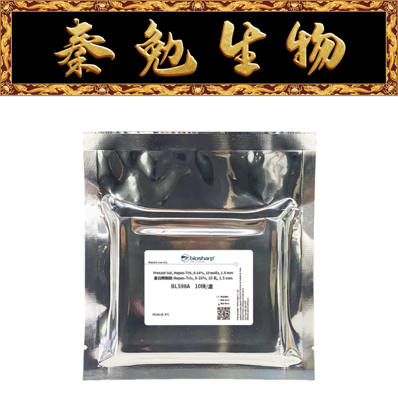 Biosharp白鲨 BL598A 蛋白预制胶Hepes-Tris 8-16% 10孔 1.5 mm