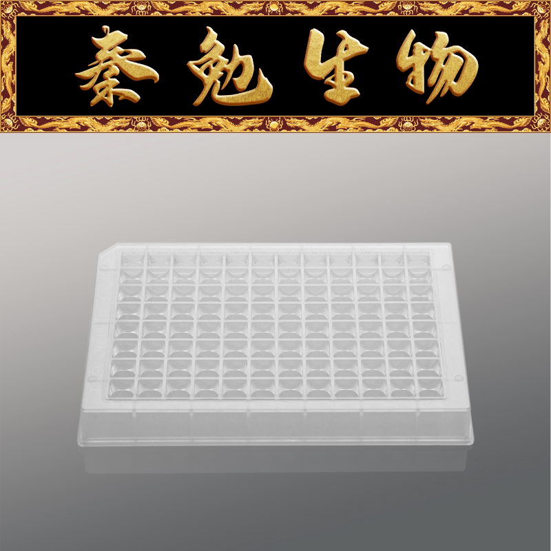 LABSELECT甄选 DWS-96-VC-0500 0.5mL 96孔方口V底透明深孔板