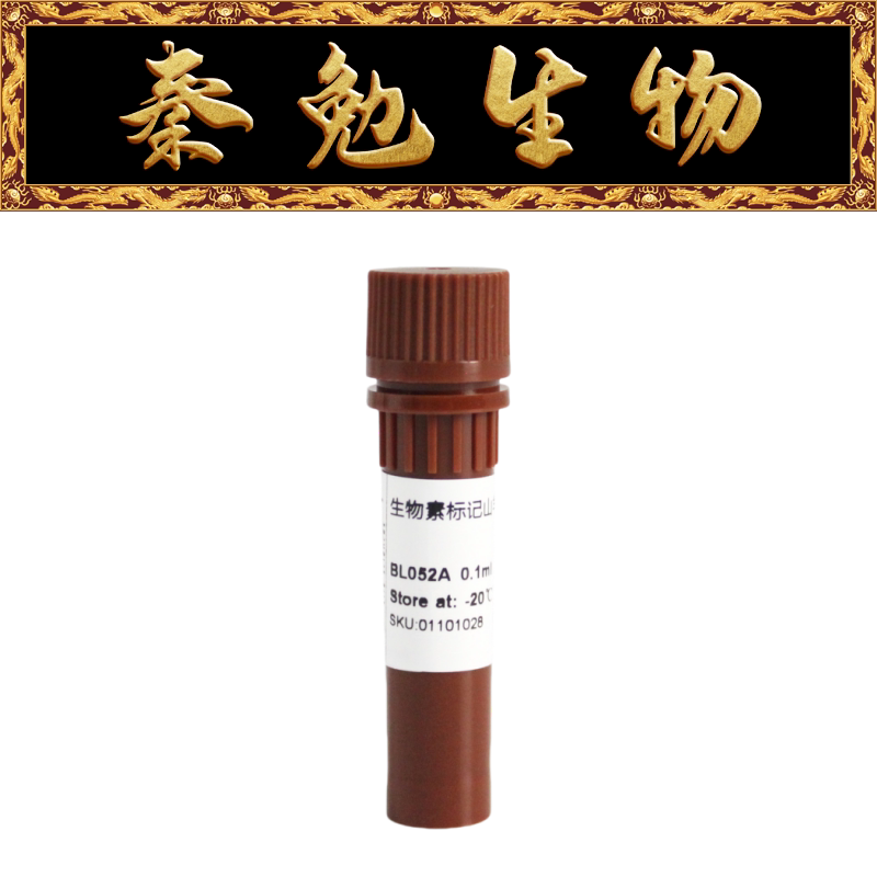 Biosharp白鲨 BL052A 生物素标记山羊抗兔IgG(H+L)