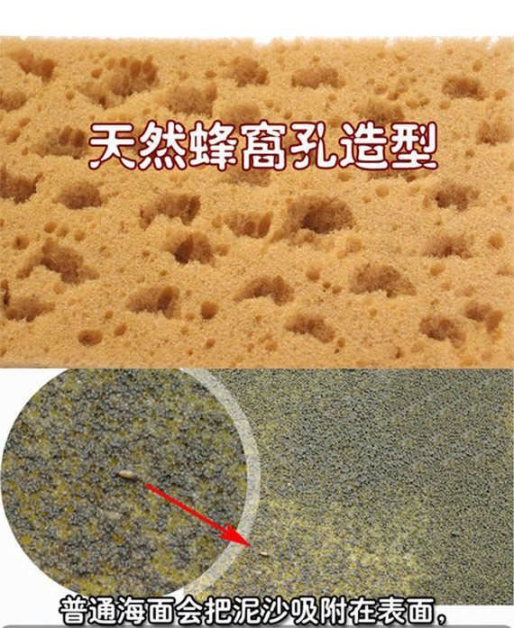 San hô làm sạch bọt biển Làm sạch xe hơi Rửa xe bọt biển vệ sinh xe hơi làm sạch dụng cụ làm đẹp chổi lau rửa xe ô tô
