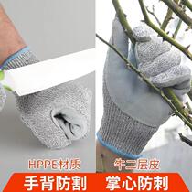 Direct supply of thickened five-level anti-cut gardening wear-resistant anti-skid chestnut cactus rose anti-pinch gloves customized
