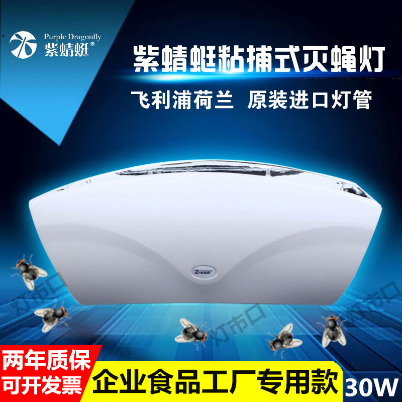 Purple Dragonfly Sticky Fly Trap Mosquito Killer Lamp for Catering Businesses and Food Factories, Environmentally Friendly Insect Trap Device Kl-Qx-0261