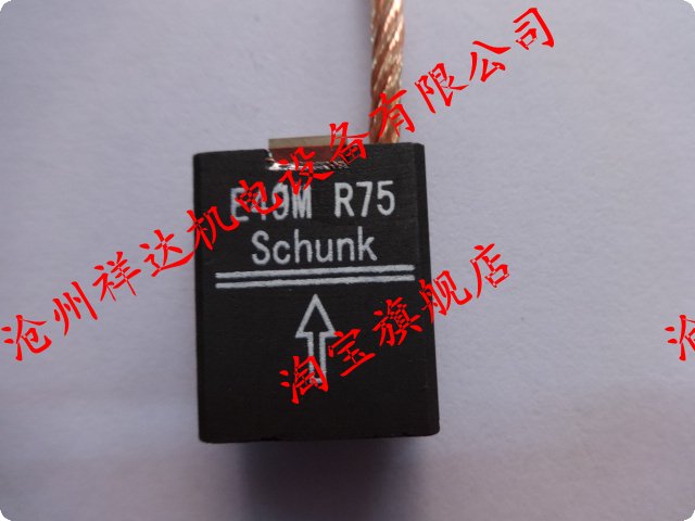 German Shunk carbon brush SCHUNK E49M R75 12 5*25*40mm custom non-standard carbon brush