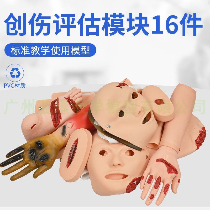 蓝蝶品牌16件创伤模组 高级创伤评估模组 急救护理模拟教具训练