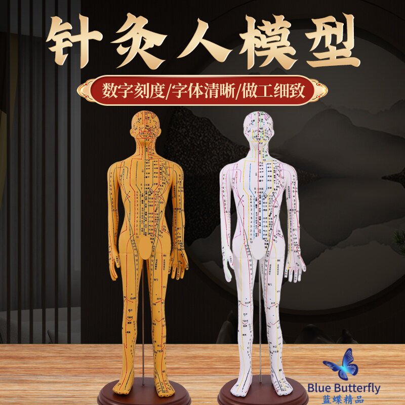 中医针灸穴位模型 全身家用十二经络人体模型可扎针小铜皮人