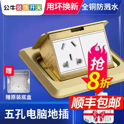 Bull network ground plug all copper dual network plug socket with network interface five-hole network route interface computer broadband broadcast seat