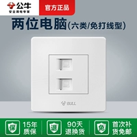 Два компьютерных розетка (Gigabit/6 категория)