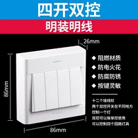 Четыре кайши двойной контроль