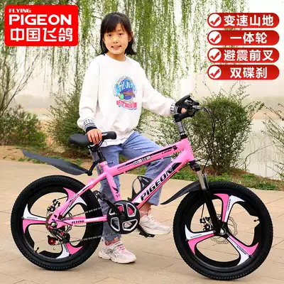 Flying pigeon children's bicycle middle-aged girl girl bicycle mountain stroller child foot 10-year-old 20-inch boy