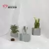 Glasses shop simulation cement cactus glasses decoration decoration Glasses shop atmosphere props swing display decoration