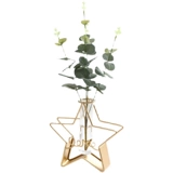 Nordic Simple Glass Hydroponic Vase замедляет магазин очков, домашняя гостиная, Plog Plog Creative Display