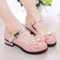 Застенчивый красочный