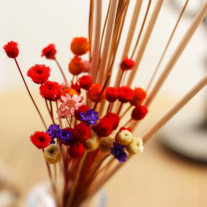 nhang bắc YilanSam Hoa hạnh phúc chính hãng Không có lửa Tiêu tan trong nhà Hương liệu tinh dầu Hương liệu Bộ tinh dầu Hộp quà tặng 80ml - Sản phẩm hương liệu nhang khoanh