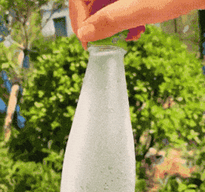 005.gif