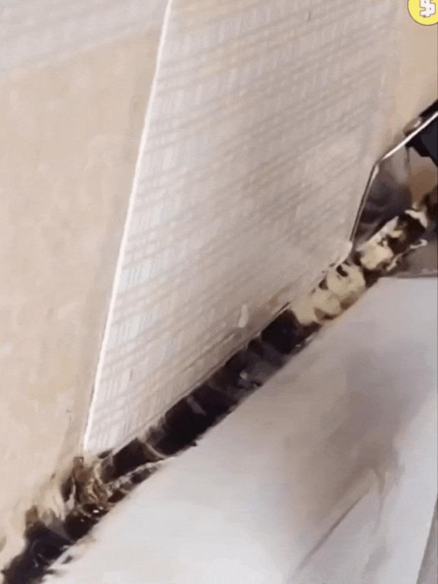 003.gif