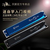 Swan harmonica beginner adult advanced children 24 hole professional Polyphonic c tune mouth organ self-study instrument