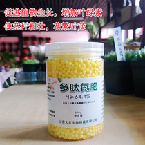Polypeptide plant nitrogen fertilizer promotes chlorophyll flower fertiliser potted green plant green turquoi household 200 gr loaded with view leaf nitrogenous fertilizer
