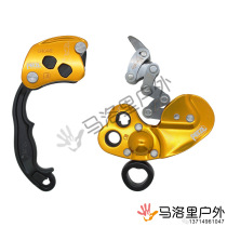 19 new PETZL climbing ZIGZAG PLUS Climbing Tree Mechanical Grip D022 Ascending Instrumental Descending D22