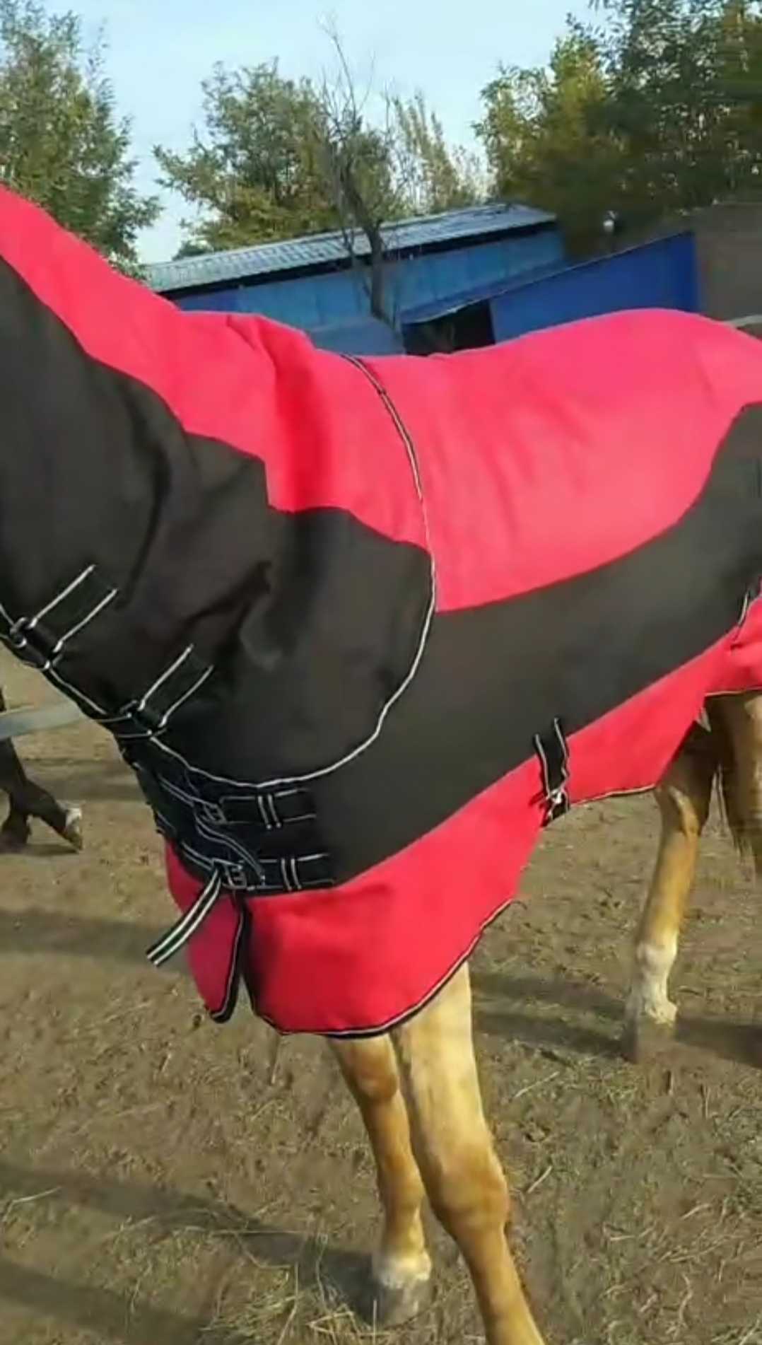 Winter Horse coat Autumn winter style belt neck horse coat 900D waterproof fabric 400g thickened cotton 