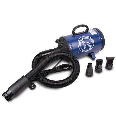 Chunzhou BS2400 single motor pet water blower cat and dog high power hair blower mute large, medium and small dog hair dryer