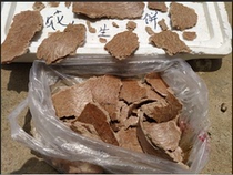 China Fishing For Fish Nest Pet Feed Home Seed Peanuts Peanut Cake Peanut Cake 250g