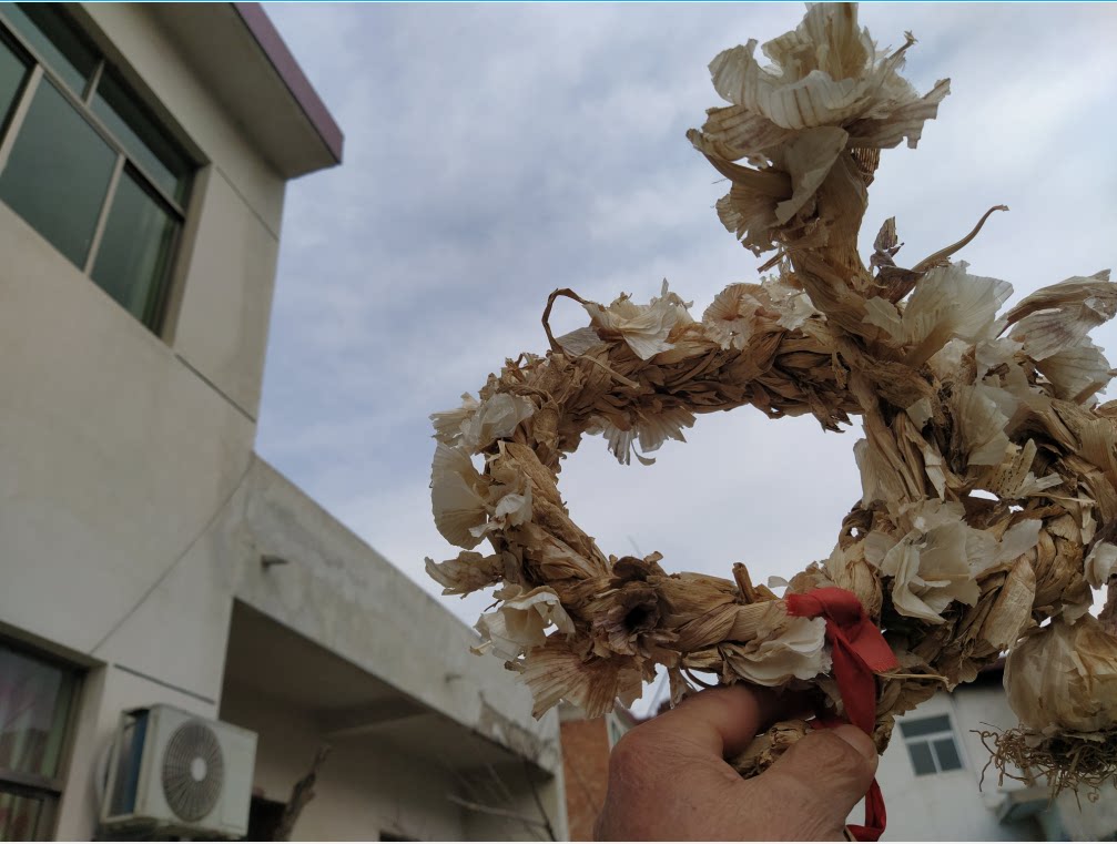 College Students Entrepreneurship Online store Chinese agricultural straw powder specializes in purple garlic straw powder 250g