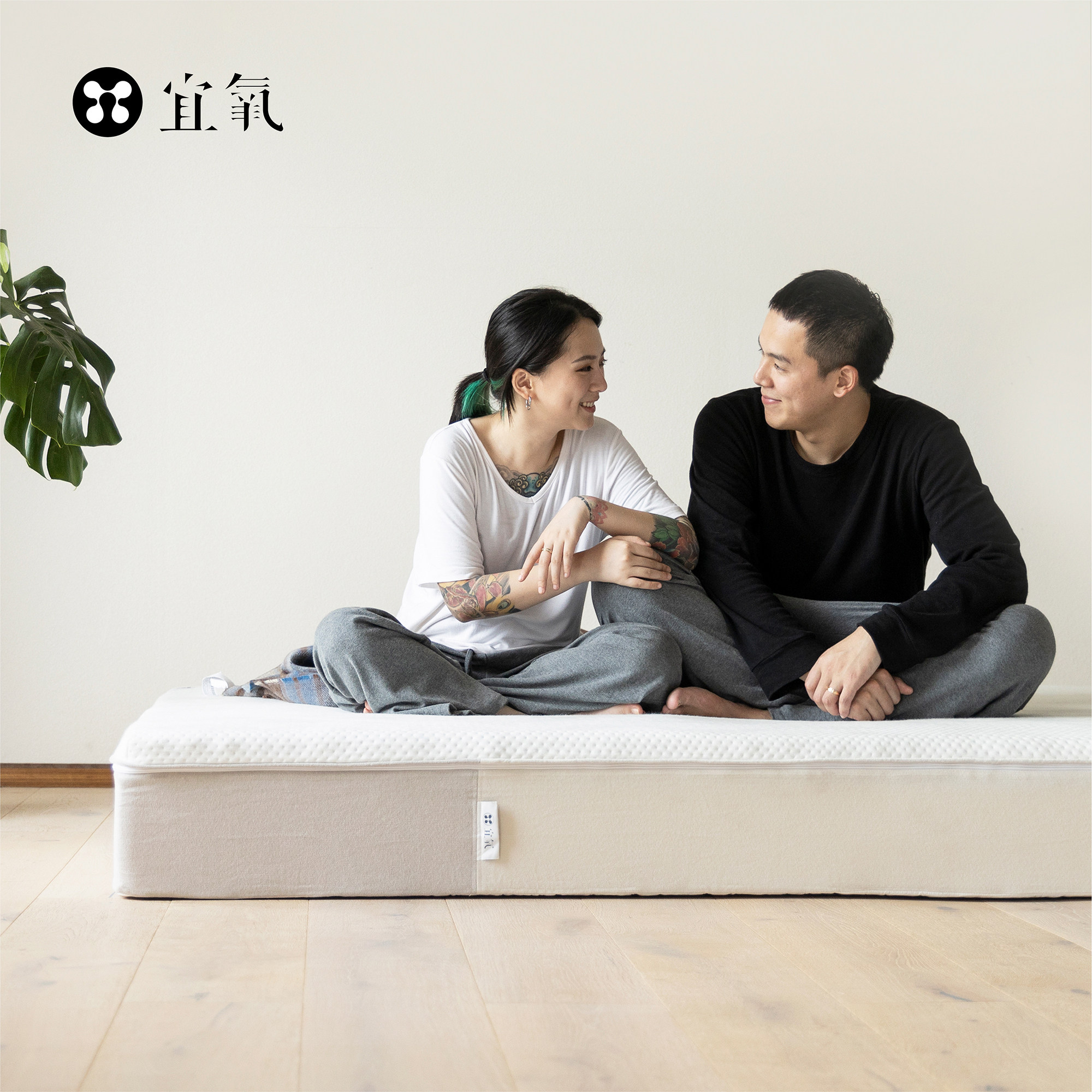 InYard Yiaerobic] Eight hours spring mattress can be removed and removed with mite memory cotton sponge cushion mat dream