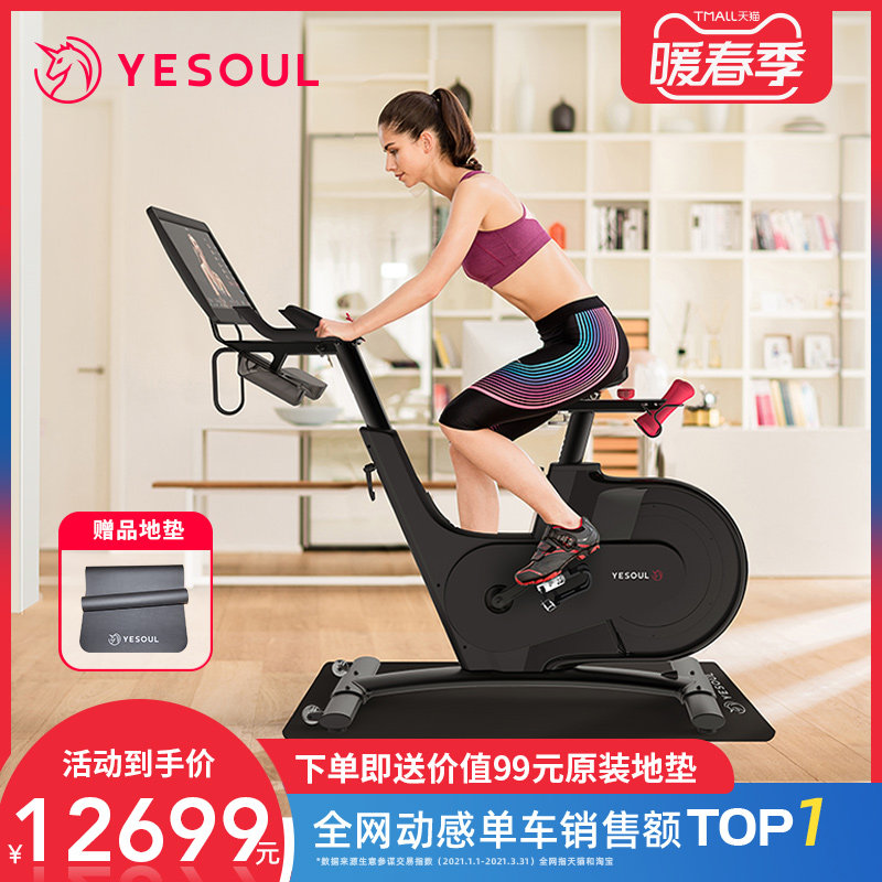 YESOUL Wild Beast Merchant Gym with smart spinning home ultra-quiet magnetron sports bike V1
